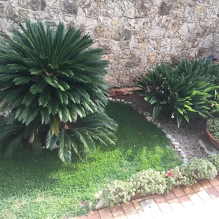 Maremonti