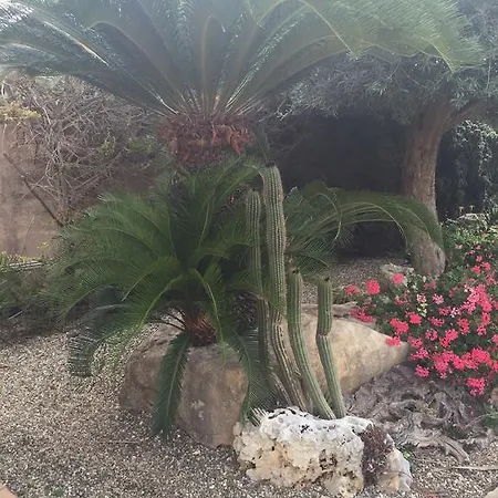 Maremonti Noto